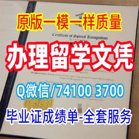 UT Bachelor Degree | PDF
