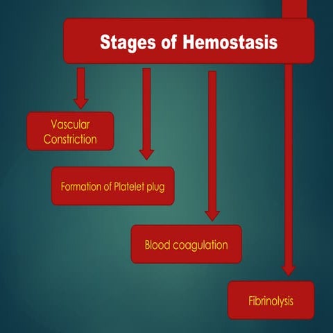 Homeostatis hai khubsurat jjgujghiiok.pptx