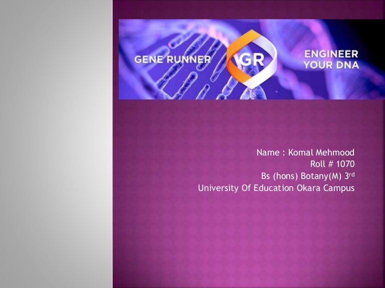 Gene Runner Software