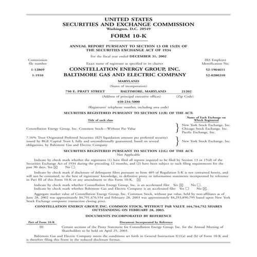 constellation energy 2002 10K 