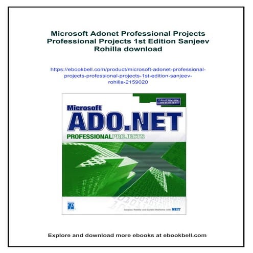 Microsoft Adonet Professional Projects Professional Projects 1st Edition Sanj...