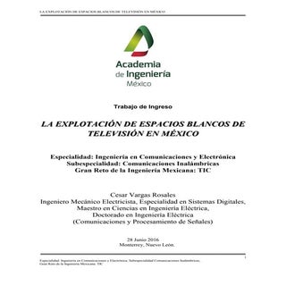 La explotación de espacios blancos ...