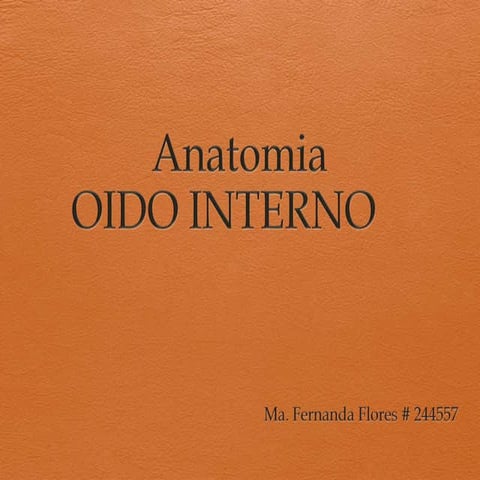 anatomia-oido-interno