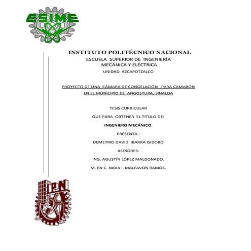 camara de frio para camaron