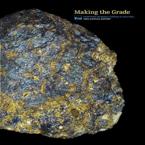 freeport-mcmoran copper& gold 2004 ar