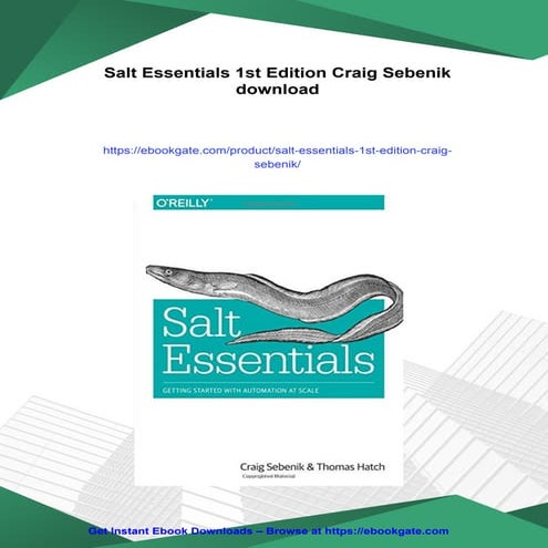Salt Essentials 1st Edition Craig Sebenik