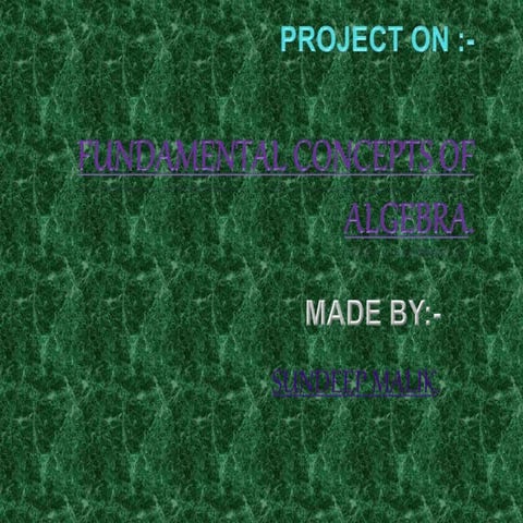 Fundamental Concept of Algebra
