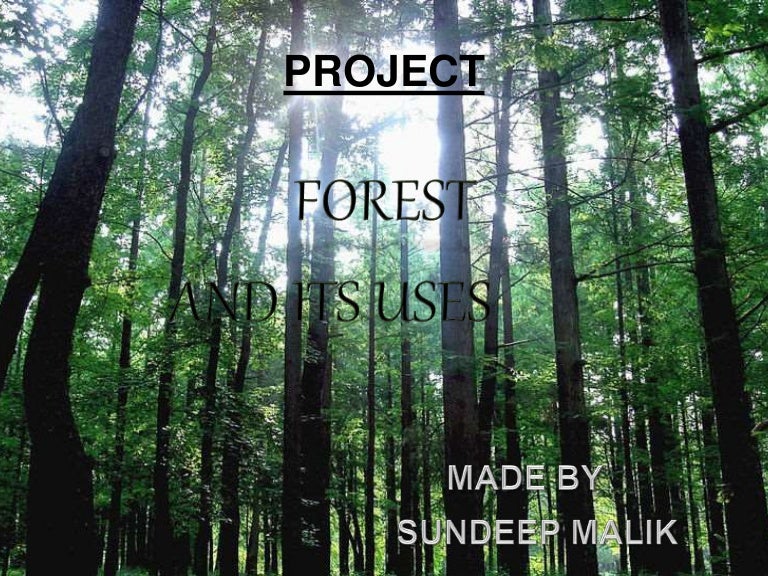 Forest And Its Uses