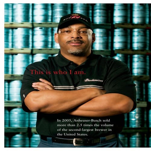 anheuser-busch 2005AR_DomesticBeerOperations