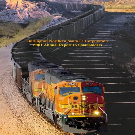 BNSF2001 annrpt