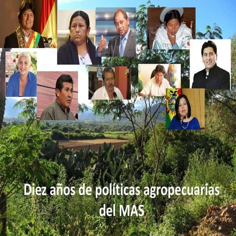 Diez años de políticas agropecuarias  del MAS
