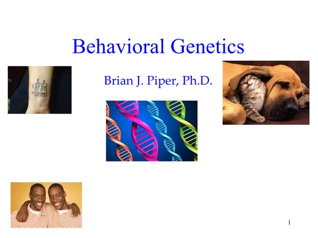 Genetics Behavior Genetics Behavior