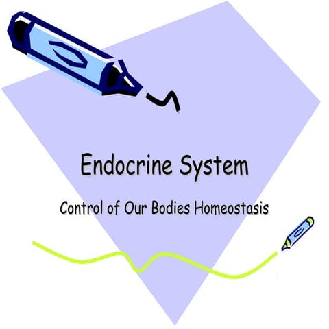 Endocrine system 