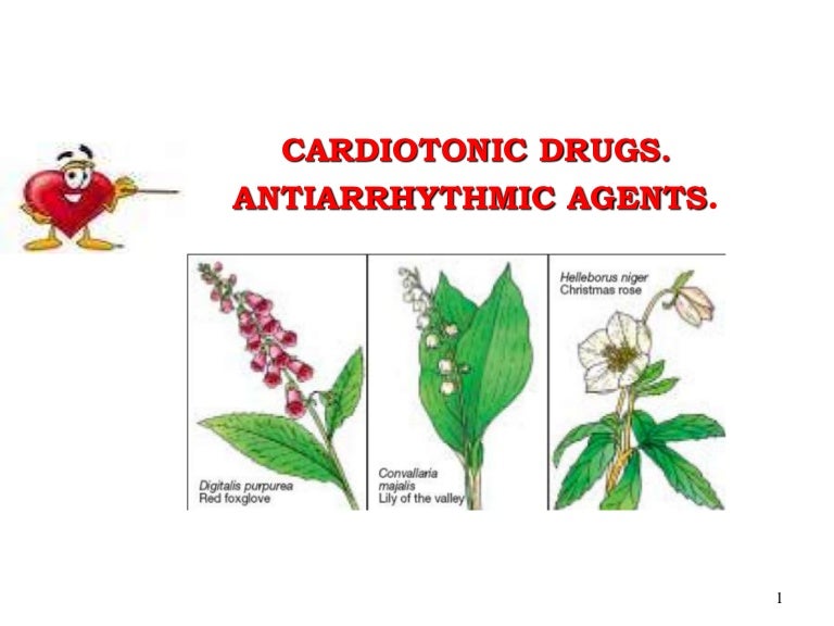 Cardiotonic Drugs. Antiarrhythmic Agents