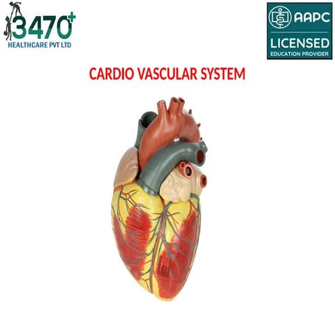 10_CARDIO_VASCULAR_SYSTEM_NM.pptx explan