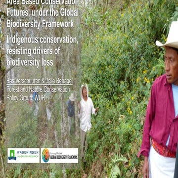 Area-Based Conservation Futures under the Global Biodiversity Framework ...