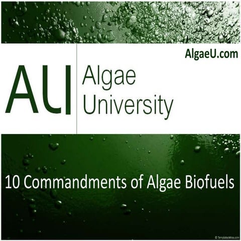 10 commandments of algae biofuels - AlgaeU.com