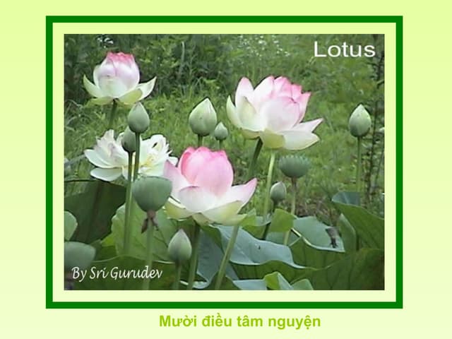 10 dieu tam niem