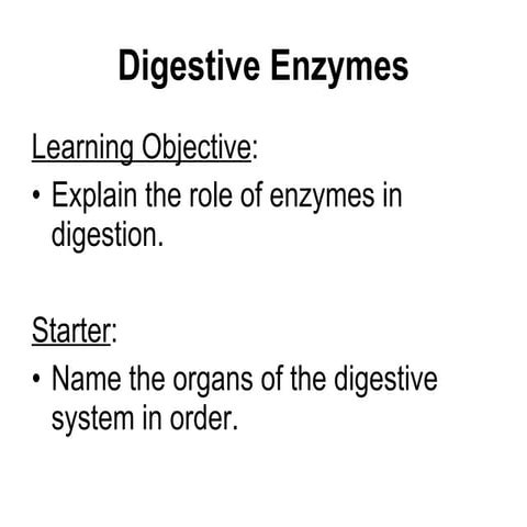 Y7 Life 10 digestive enzymes