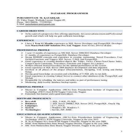 Database Programmer Purushottam