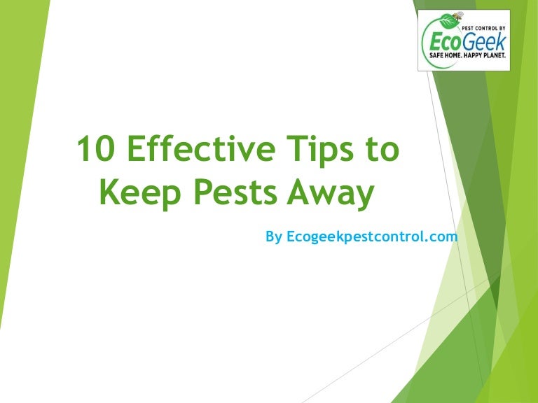 10 Effective Tips to Keep Pests Away