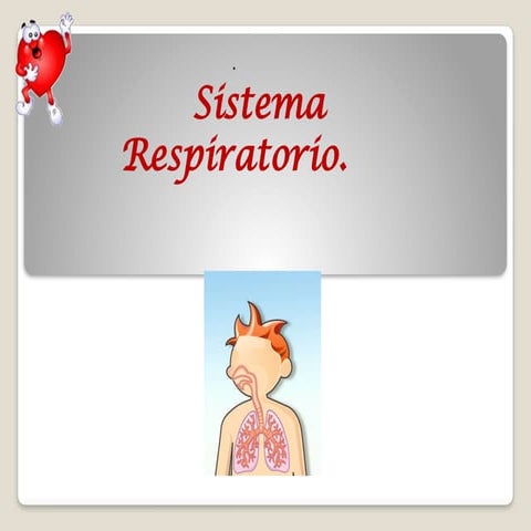 10 el sistema respiratorio funcional.pptx