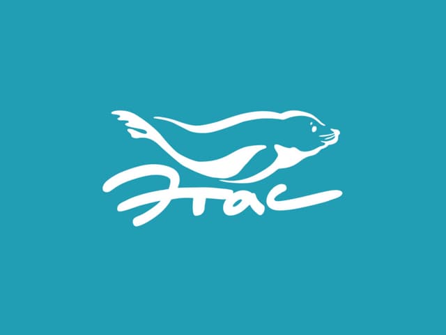 Презентация деятельности от организ...