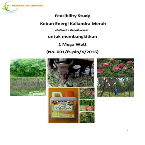 pre fs kaliandra (3)