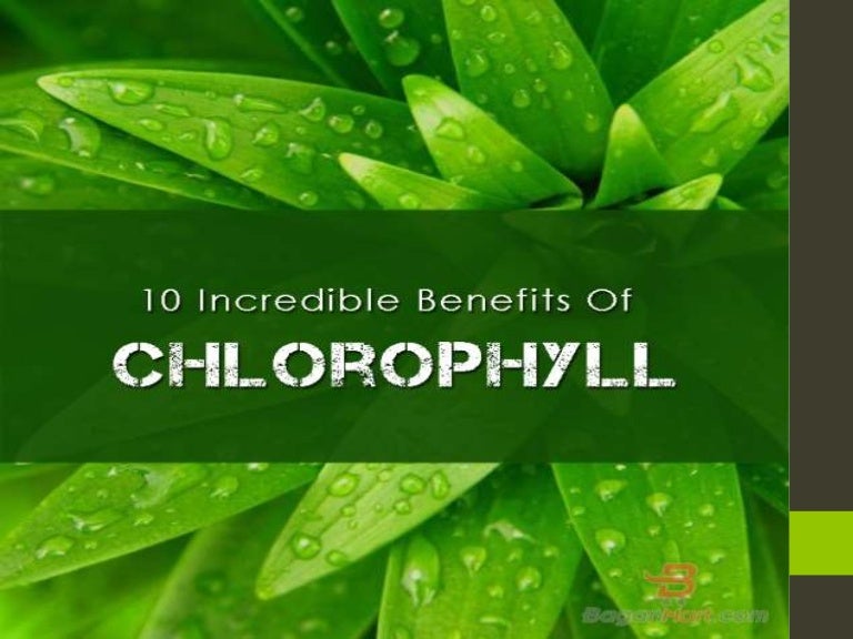 10 incredible benefits of chlorophyll