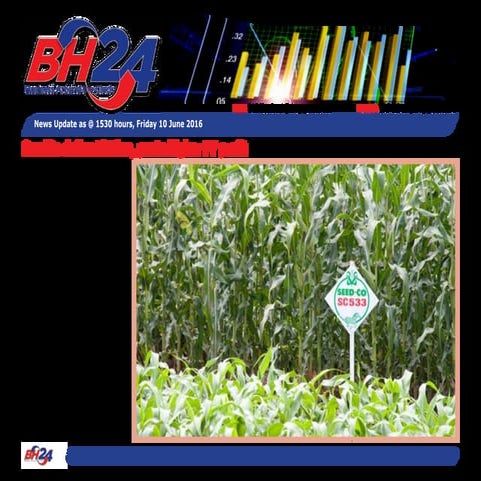 SeedCo defies El Nino, post higher FY profit