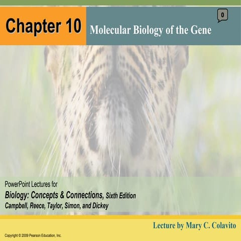 10 Lecture Presentation | PPT