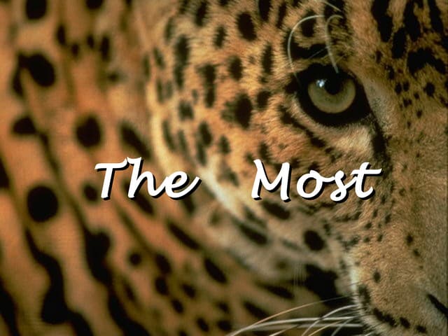 10 Golden Words For Improvements In Life