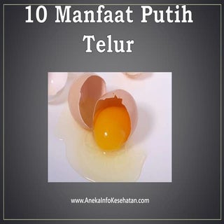 10 manfaat putih telur