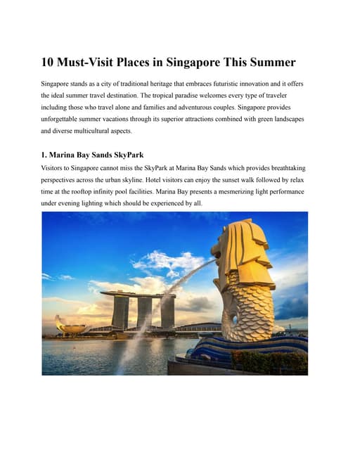 SINGAPORE TOURIST GUIDE PDF visual data 7