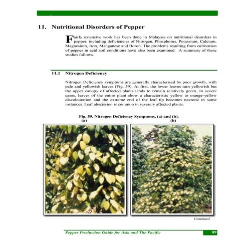 10 nutritional disorders of pepper