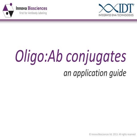 10 oligo ab conjugates   an application guide