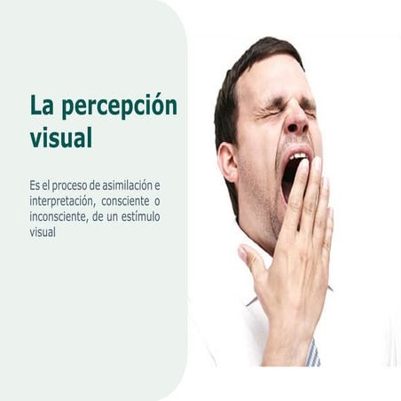 10. La Percepción Visual