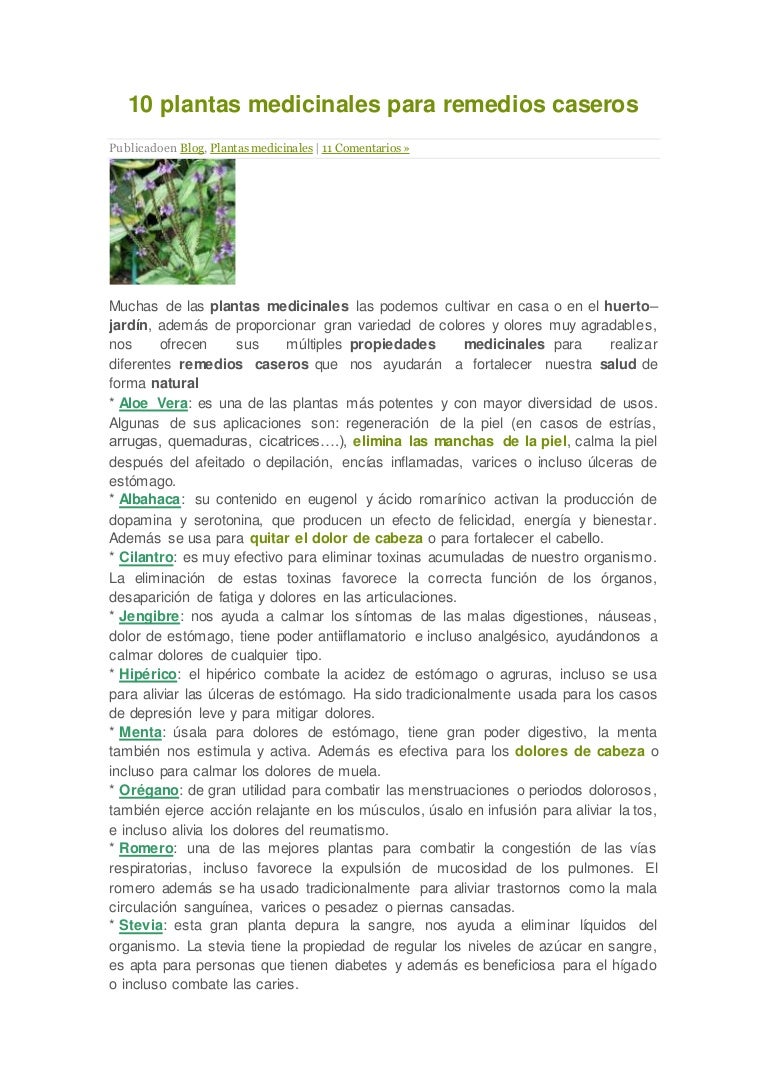 plantas medicinales para reducir el estomago
