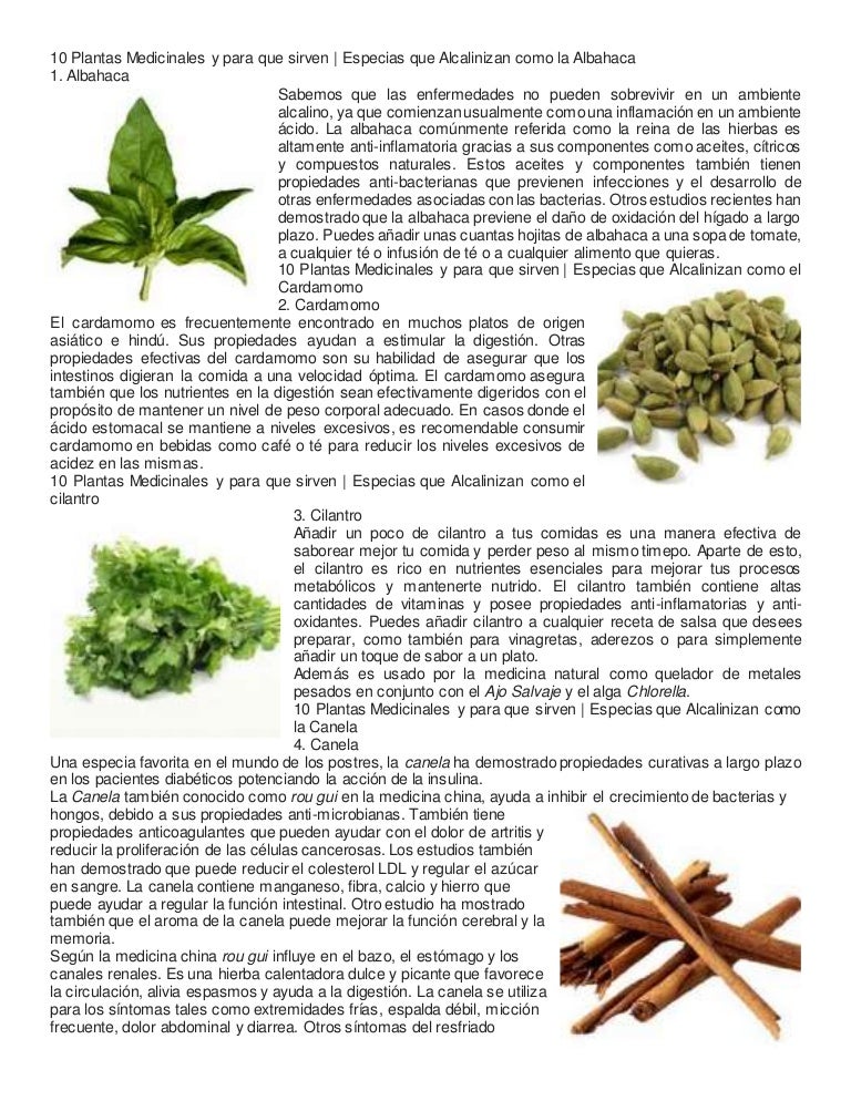 Ejemplos De Plantas Medicinales