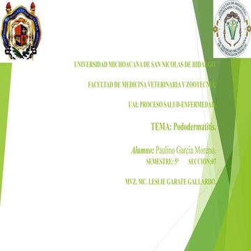 10 pododermatitis (paulino) (1) | PPTX