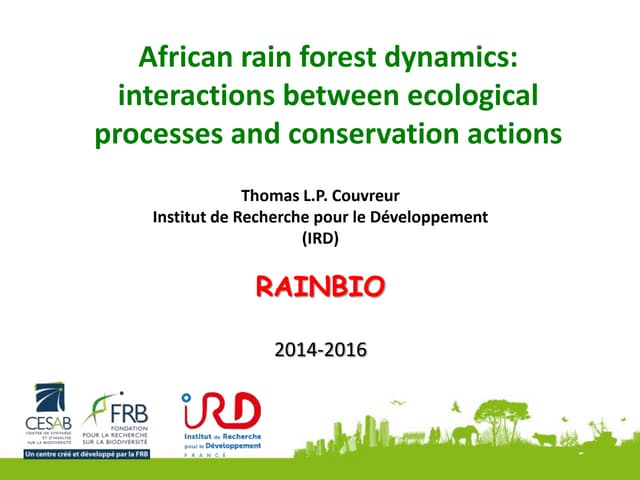 African rainforest dynamics: interactions between ecological processes and co...