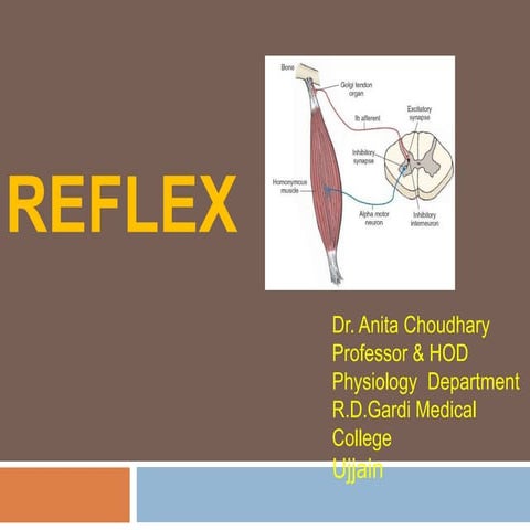 REFLEX ( Physiology)
