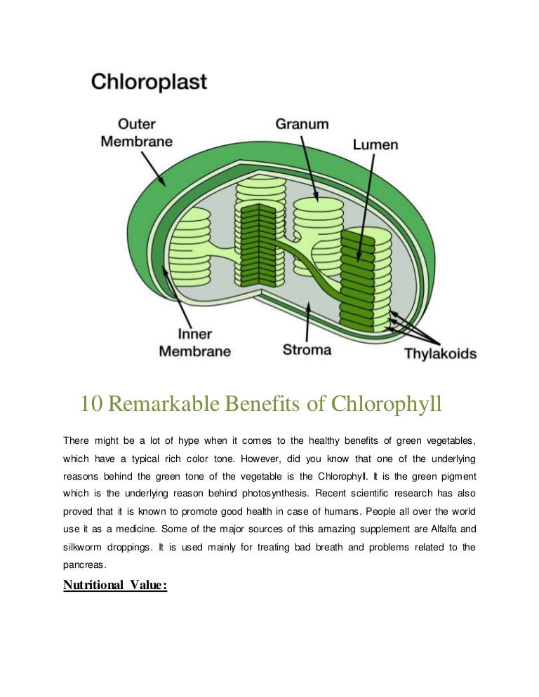 10 remarkable benefits of chlorophyll