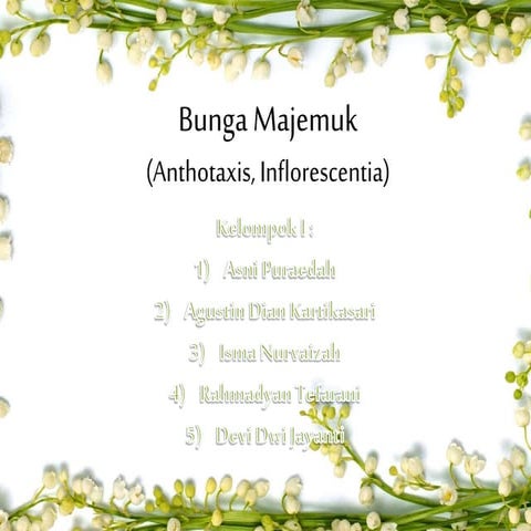 PPT Morfologi Tumbuhan - Bunga Majemuk