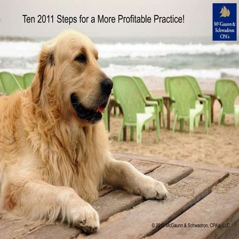 Ten Tips For a More Profitable Veterinary Practice in 2011