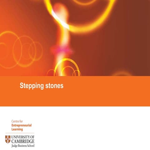 10th may step stones and industry analysis