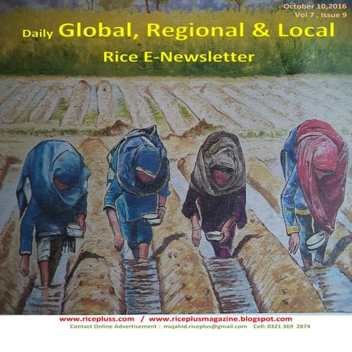 Rice – Logistics.pdf