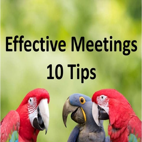 10 tips to improve meetings