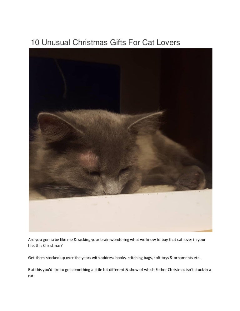 unusual gifts for cat lovers