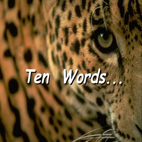 10words